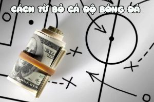 Từ Bỏ Cá Độ Bóng Đá