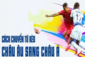 Cách Chuyển Odds Châu Âu Sang Châu Á